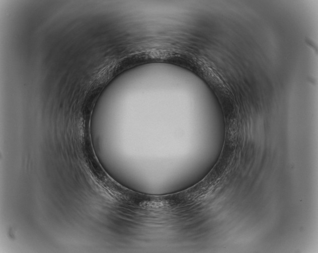 X0000097950639200804141004