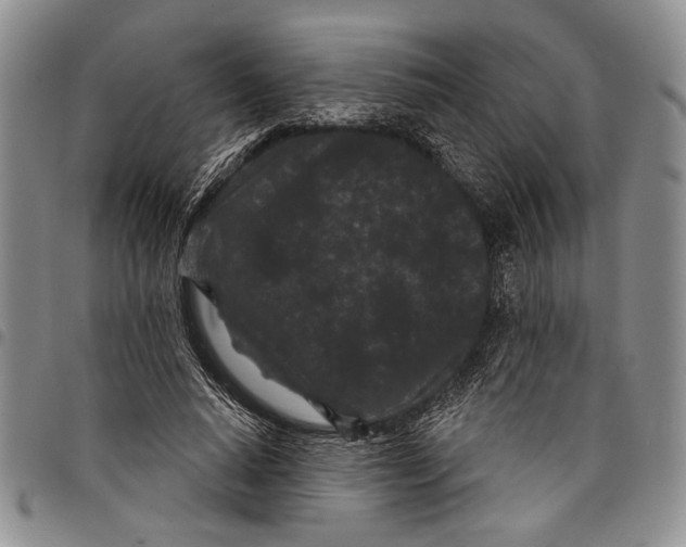 X0000097950640200804141004