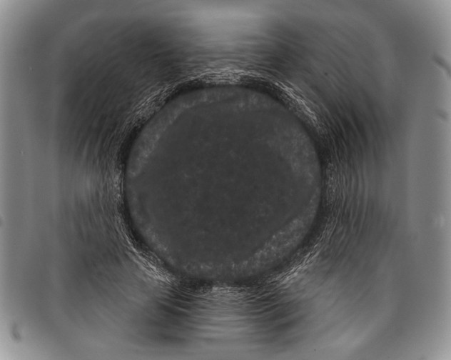 X0000097950641200804141004