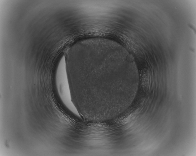 X0000097950643200804141004