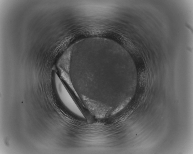 X0000097950644200804141004