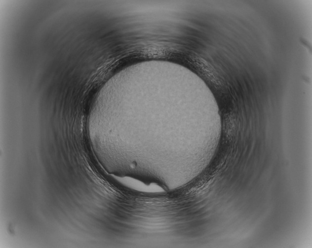 X0000097950645200804141004