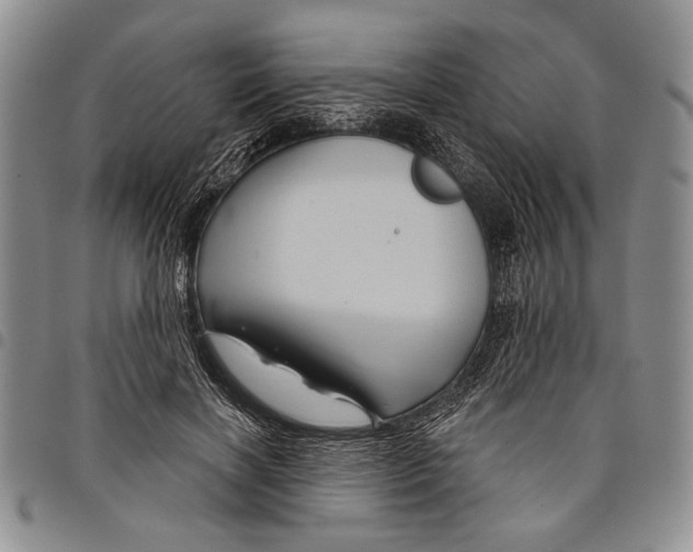 X0000097950646200804141004