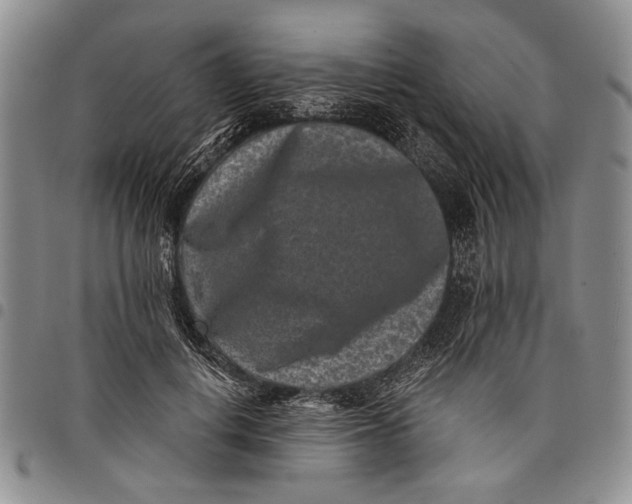 X0000097950648200804141004