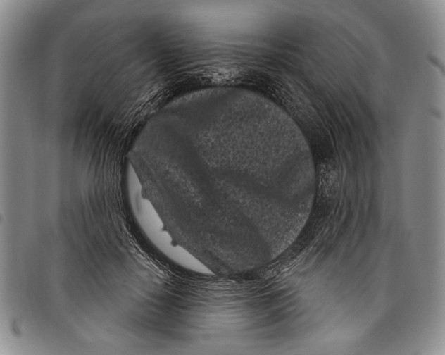 X0000097950650200804141004