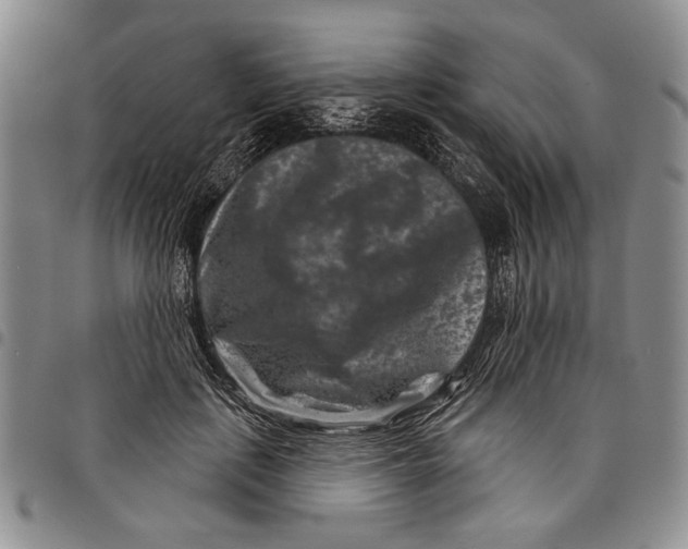 X0000097950651200804141004