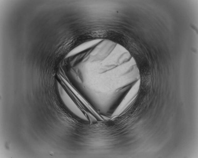 X0000097950652200804141005