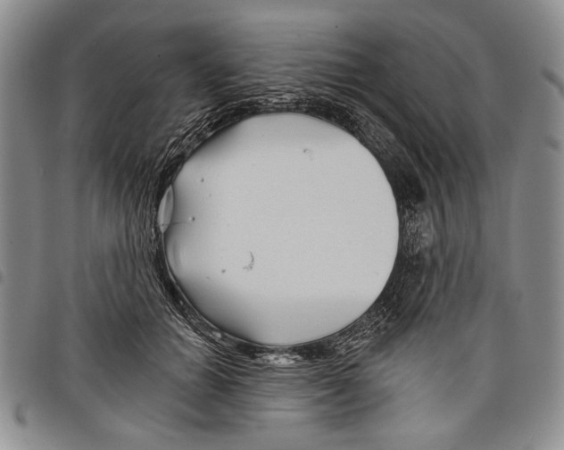 X0000097950654200804141005