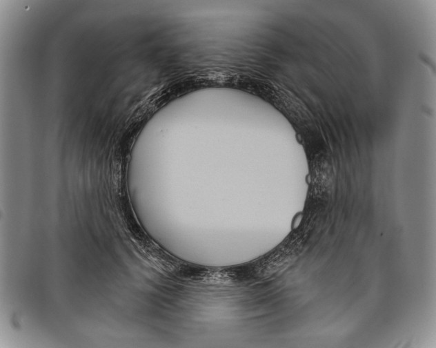 X0000097950656200804141005