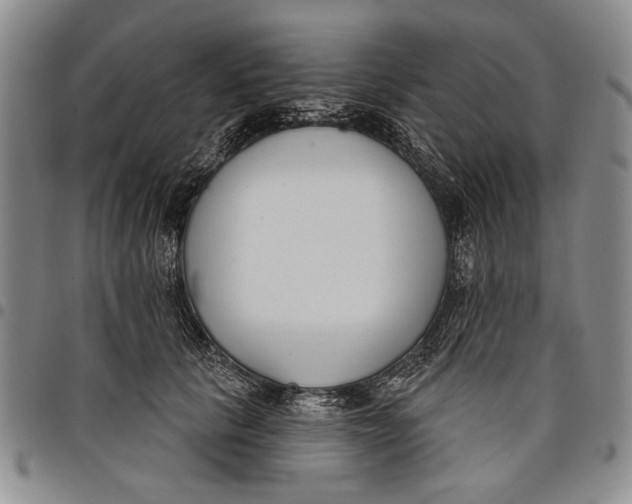 X0000097950657200804141005