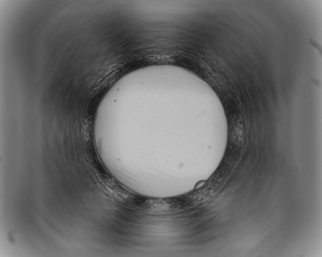 X0000097950658200804141005