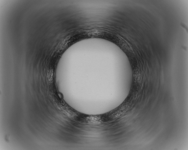 X0000097950660200804141005