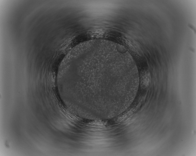 X0000097950661200804141005