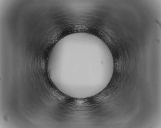 X0000097950662200804141005