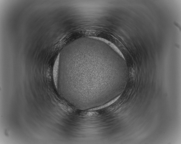 X0000097950663200804141005