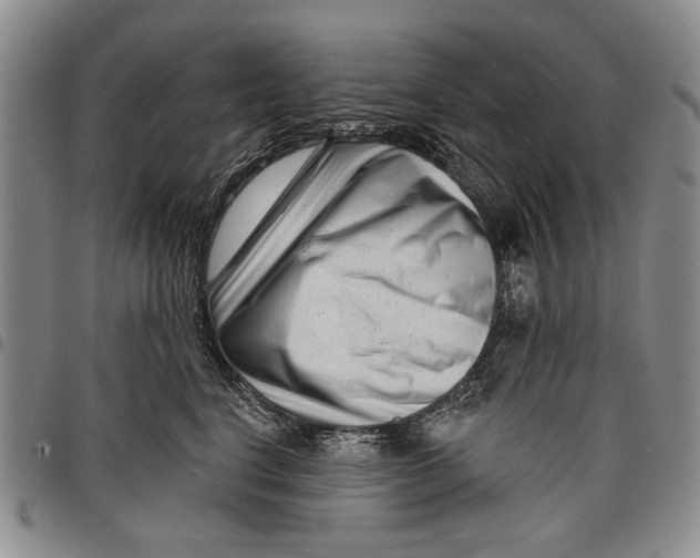 X0000097950664200804141005