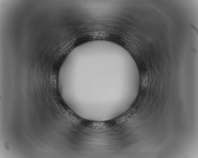 X0000097950666200804141005