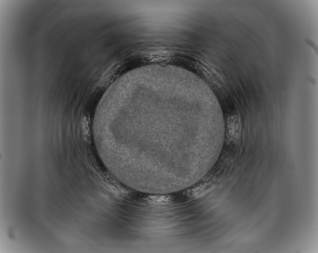 X0000097950667200804141005
