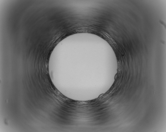 X0000097950669200804141005