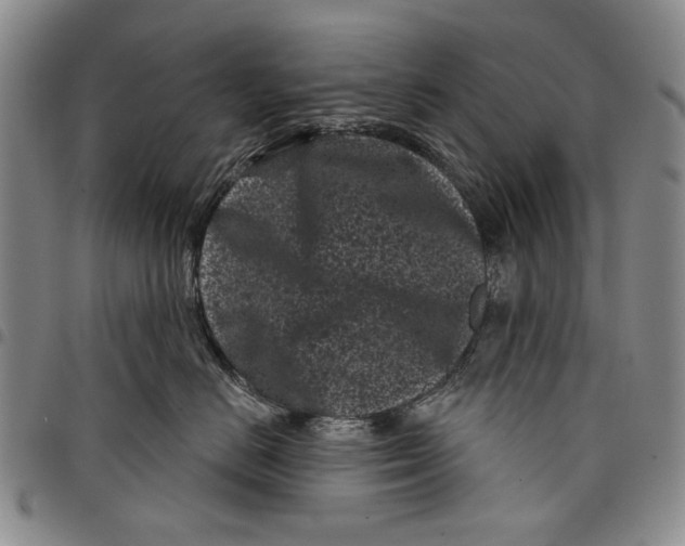 X0000097950670200804141005