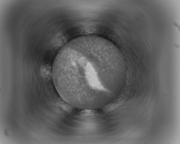 X0000097950672200804141005