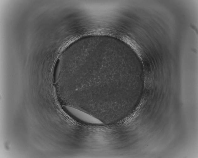 X0000097950673200804141004