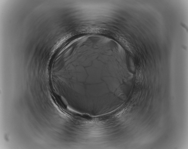 X0000097950674200804141004