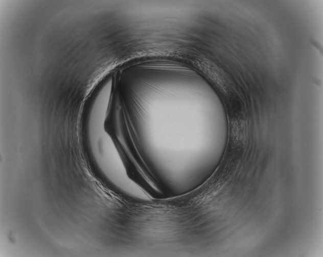 X0000097950676200804141004
