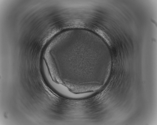 X0000097950677200804141004