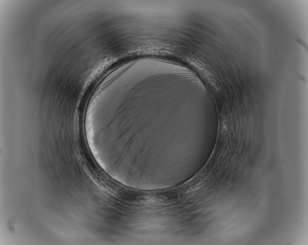 X0000097950678200804141004