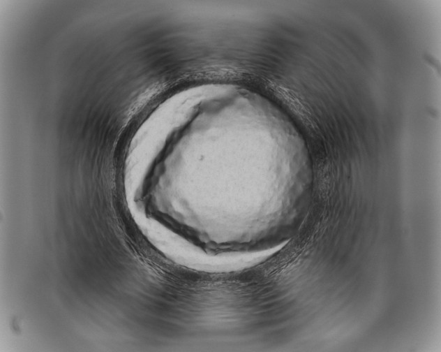 X0000097950679200804141004