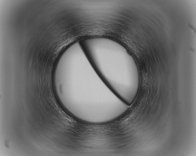 X0000097950681200804141004