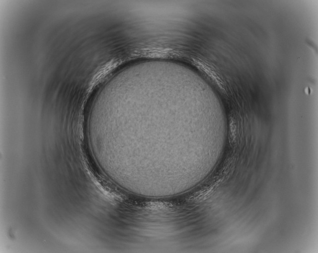 X0000097950682200804141004