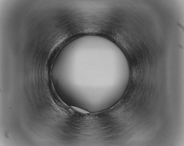 X0000097950684200804141004