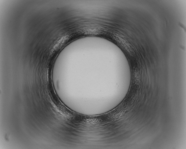 X0000097950686200804141004