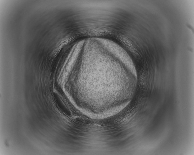 X0000097950687200804141004