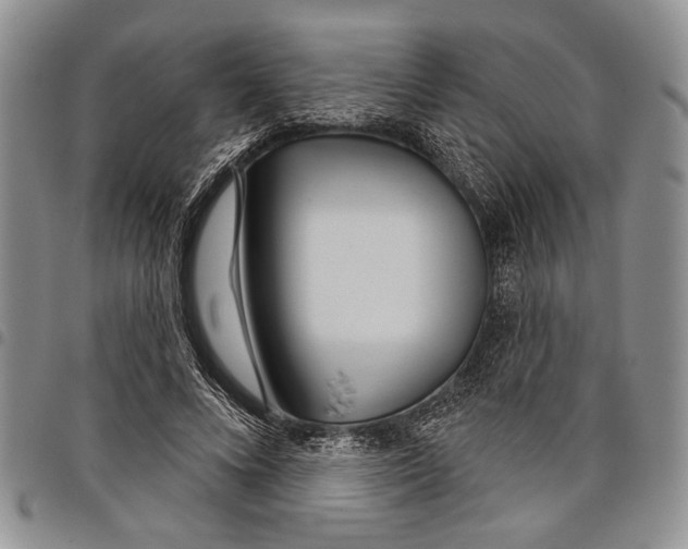 X0000097950688200804141004