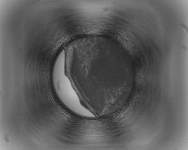X0000097950689200804141004