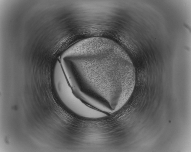 X0000097950693200804141004