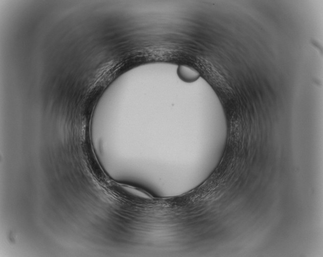 X0000097950694200804141004