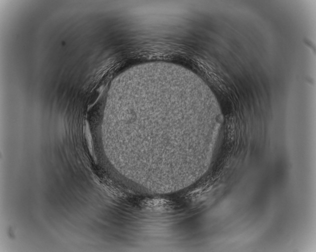 X0000097950695200804141004