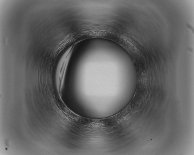 X0000097950696200804141004