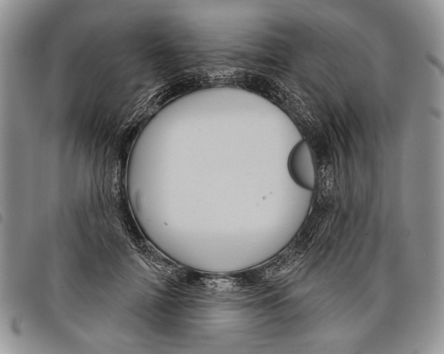 X0000097950698200804141004