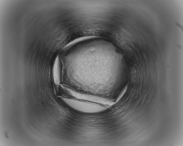 X0000097950699200804141004