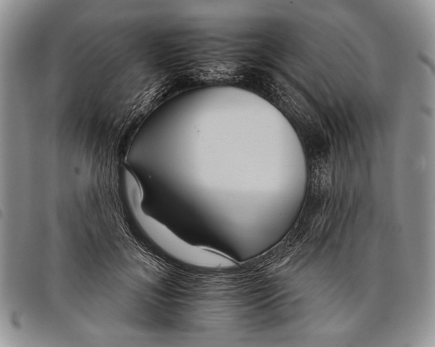 X0000097950700200804141004