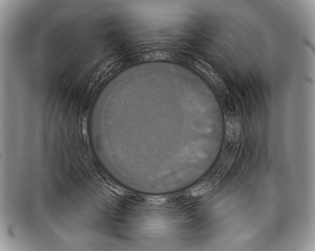 X0000097950701200804141004