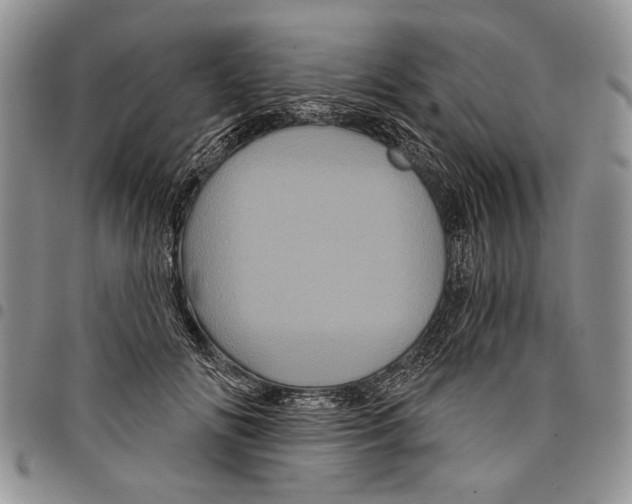 X0000097950702200804141004
