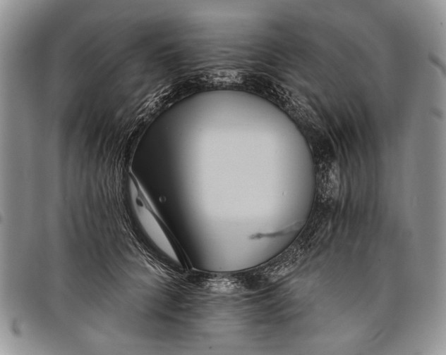 X0000097950704200804141003