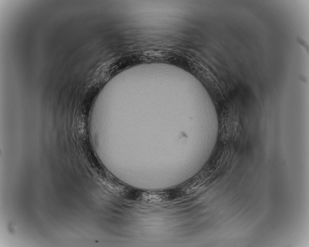 X0000097950706200804141003
