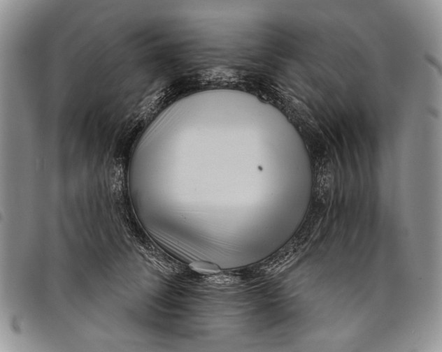 X0000097950708200804141003